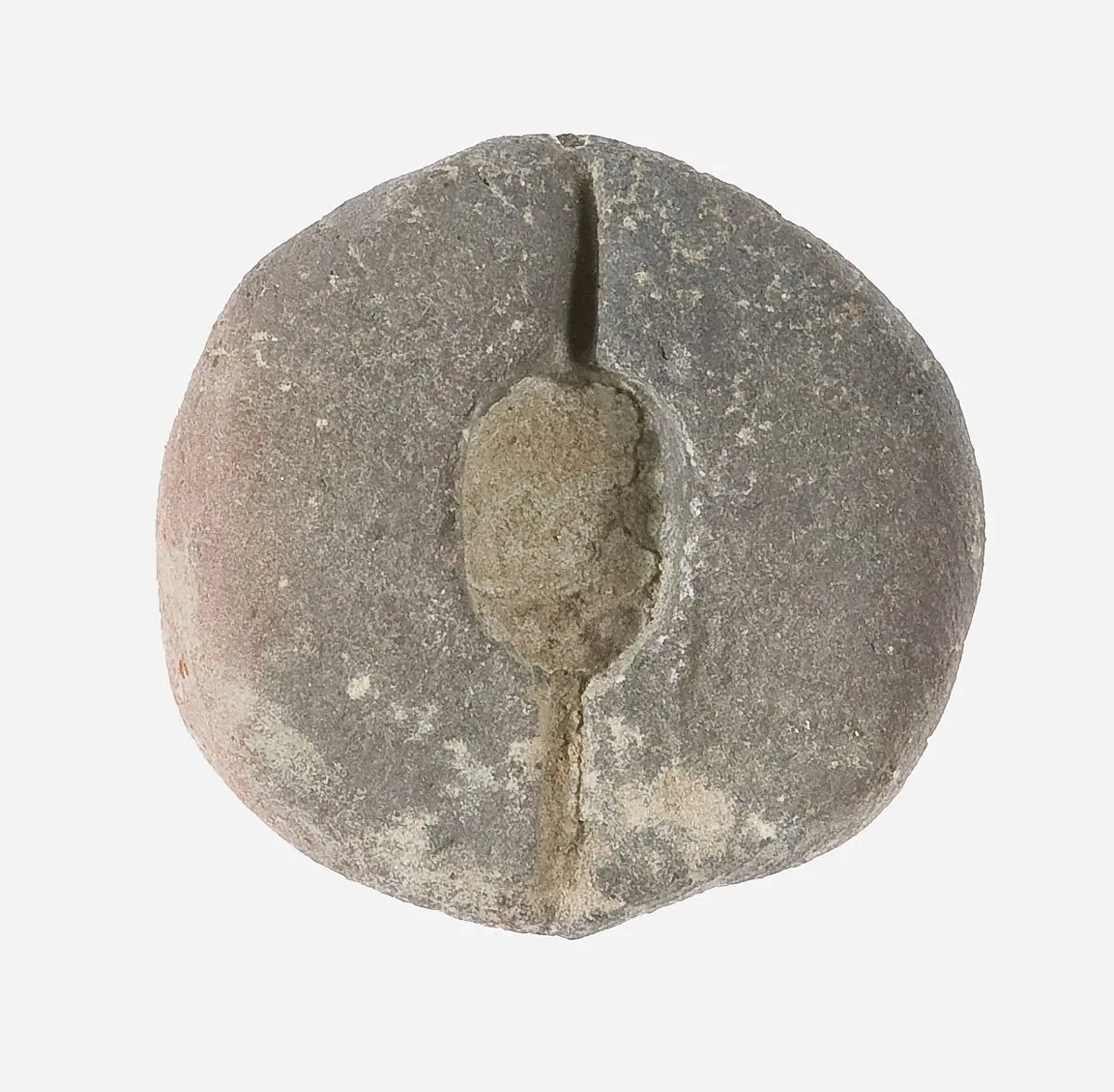 Mold for Small Ovoid Beads — Unknown