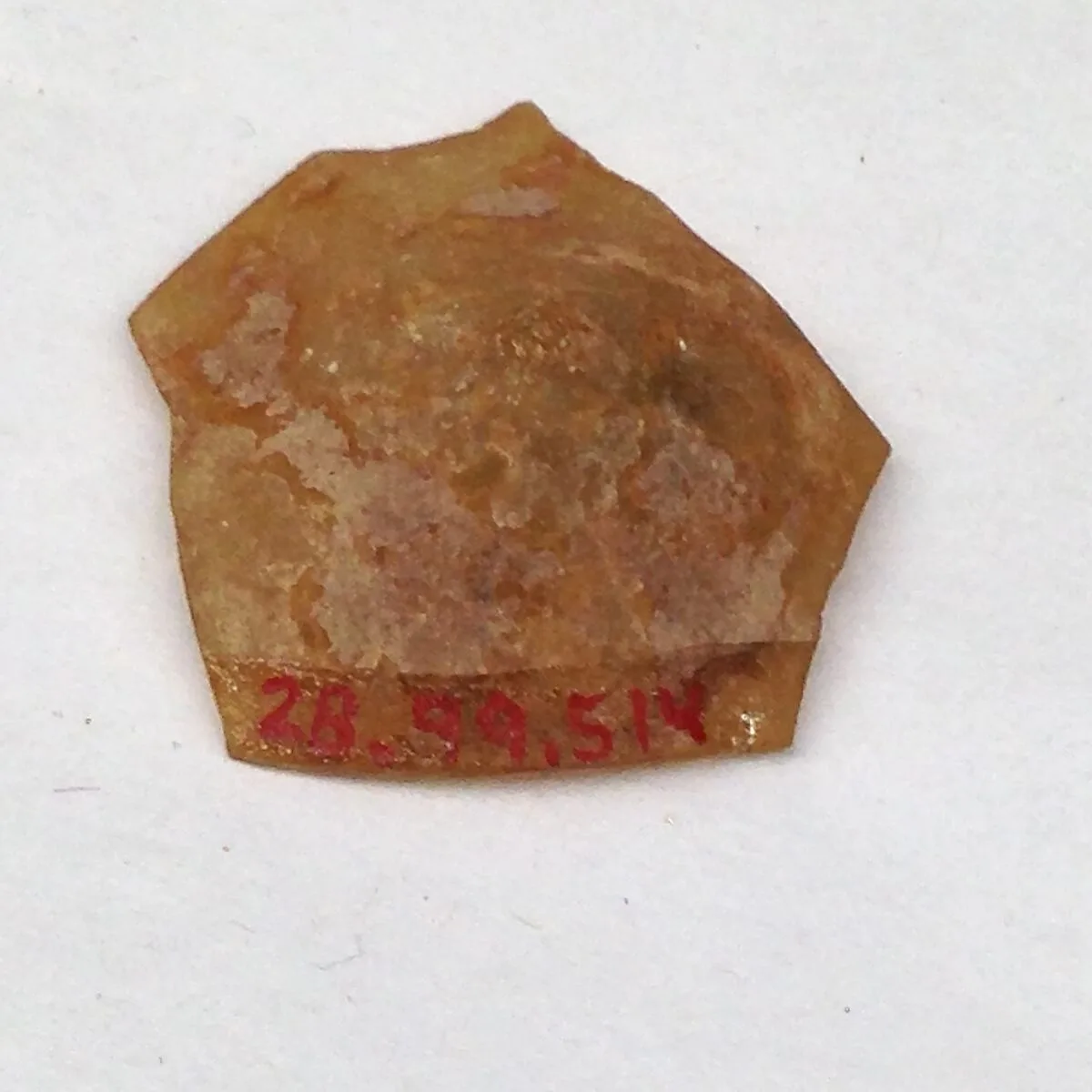 Fragment — Unknown