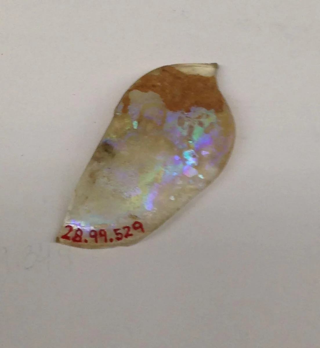 Fragment — Unknown