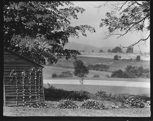 [Wooden Building and Fields on Estate of Suzette Morton Hamill, Lake Forest, Illinois]