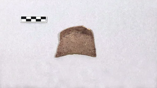 Fragment of a Bowl