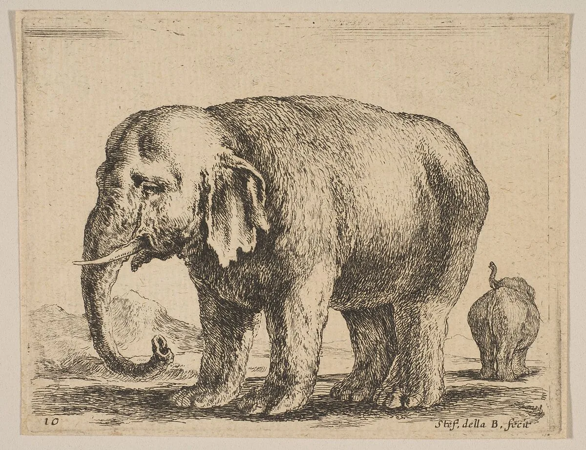 Plate 10: Elephant, from "Various animals" (Diversi animali) — Stefano della Bella|Pierre Mariette