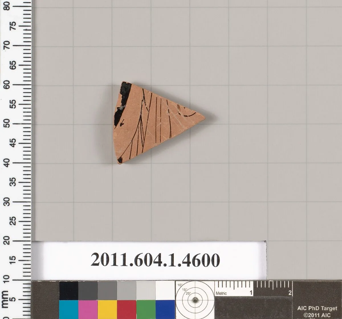 Terracotta fragment of a kylix (drinking cup) — Unknown