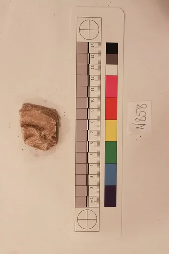 Stucco Fragment