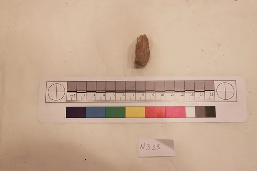 Stucco Fragment