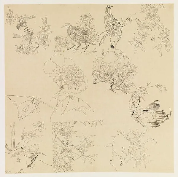 現代 謝稚柳 花鳥畫臨本 鏡片|Plants, Flowers, and Birds — Xie Zhiliu