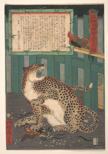 「今昔未見 生物猛虎之真図」|Never Seen Before: True Picture of a Live Wild Tiger (Konjaku miken, Ikimono mōko no shinzu)