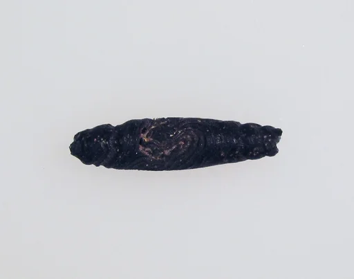 Bead