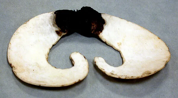 Nose Ornament (Bi Pane) — Unknown
