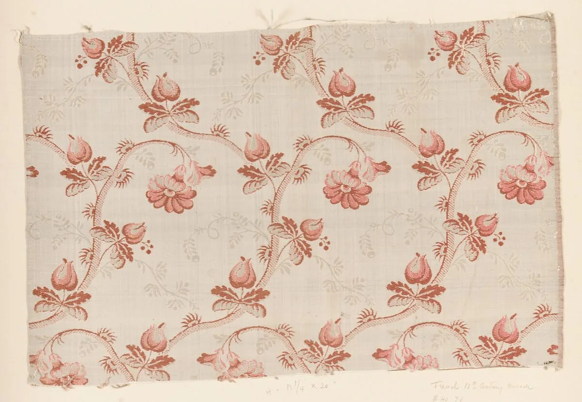 Fragment — Unknown