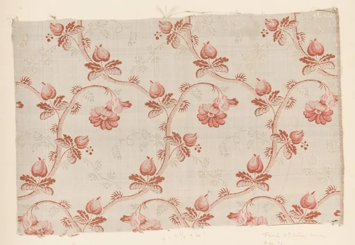Fragment