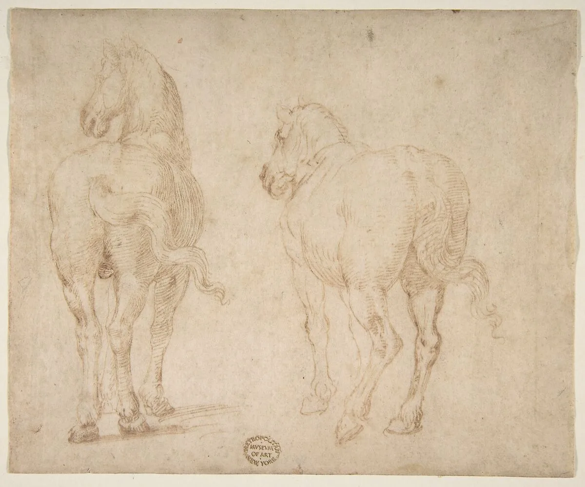 Horses — Francesco Allegrini|Parmigianino (Girolamo Francesco Maria Mazzola)
