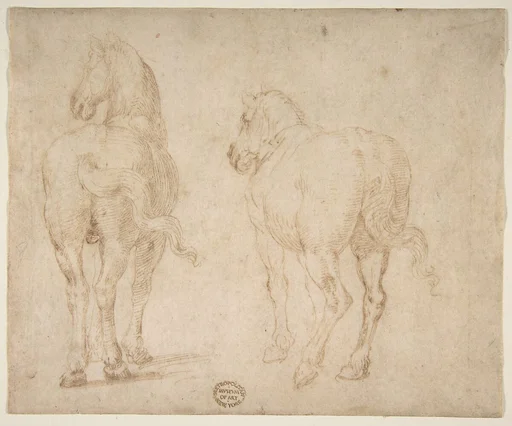Horses