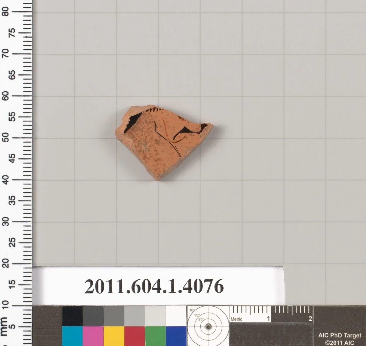 Terracotta fragment of a kylix (drinking cup) — Unknown
