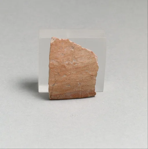 Vase fragment