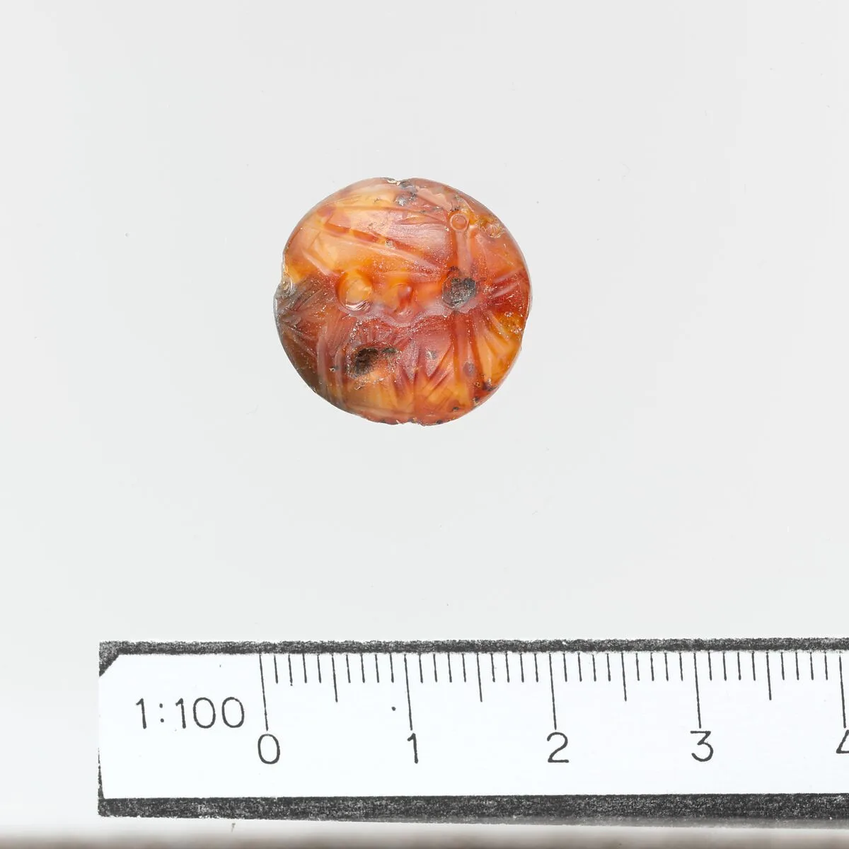 Seal, lentoid — Unknown
