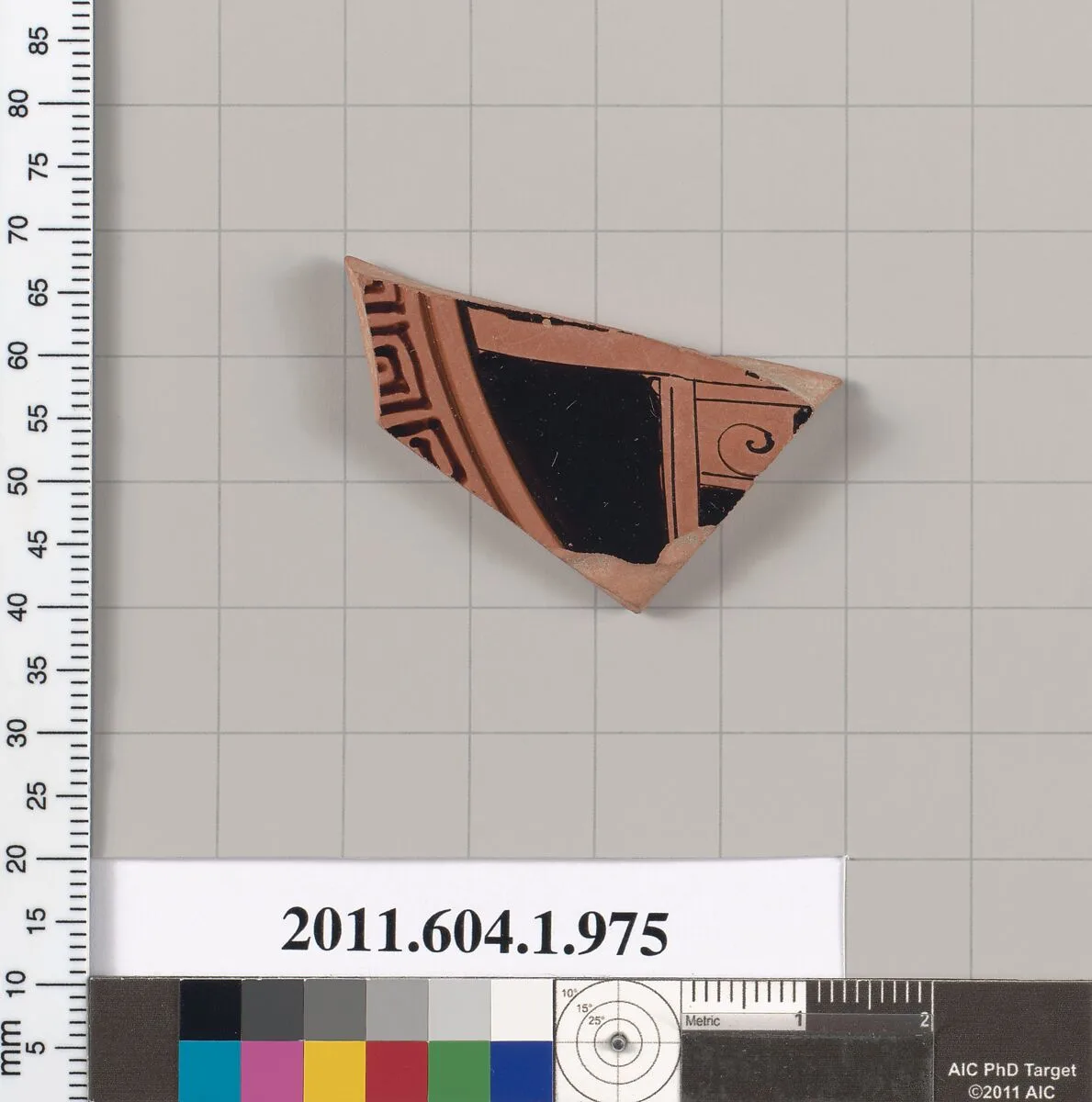 Terracotta fragment of a kylix (drinking cup) — Unknown
