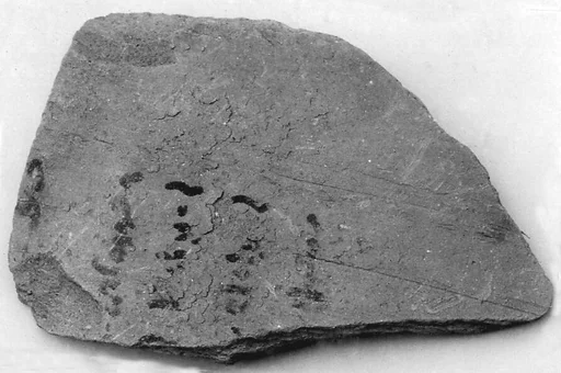 Ostracon