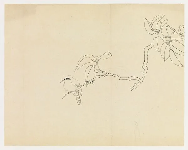 現代 謝稚柳 枝禽圖 鏡片|Bird on a Branch — Xie Zhiliu