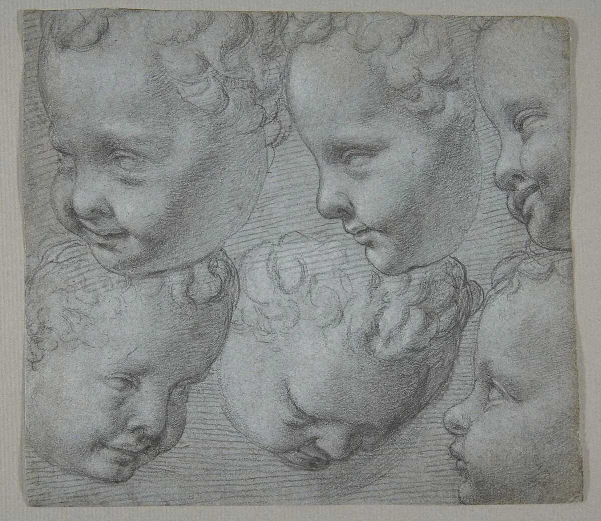 Studies of the Head of an Infant (after a three-dimensional model) — Poppi (Francesco Morandini)