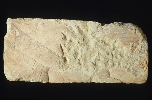 Relief with the torso of the queen