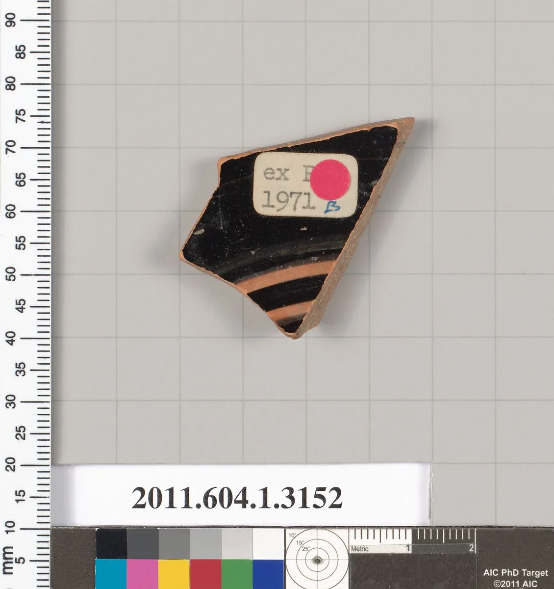 Terracotta fragment of a kylix (drinking cup) — Unknown