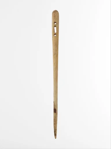 Bone needle