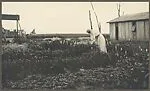 Wartime France, Anna vs. Mitchell in the Rampant Garden — Unknown