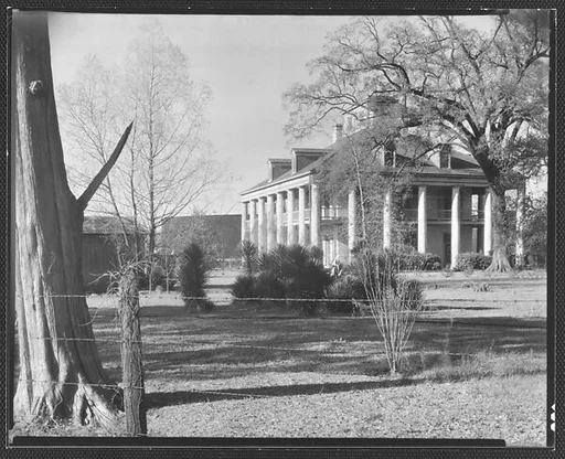 [Sevenoaks Plantation House, From Across Barbed Wire Fence, Jefferson Parish, Louisiana]
