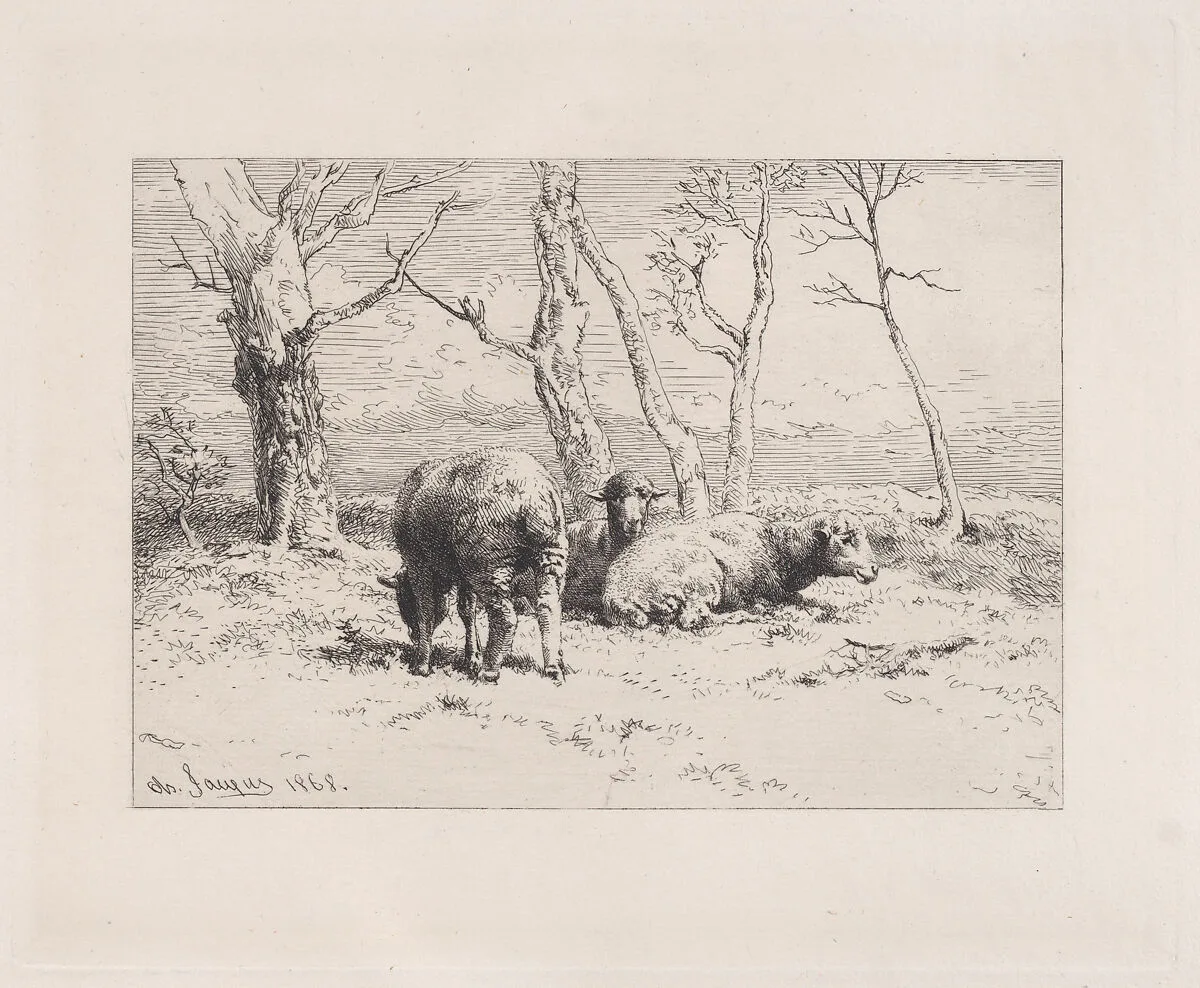 Moutons — Auguste Delâtre|Charles Jacque