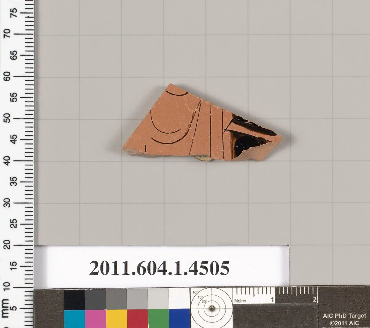 Terracotta fragment of a kylix (drinking cup) — Unknown