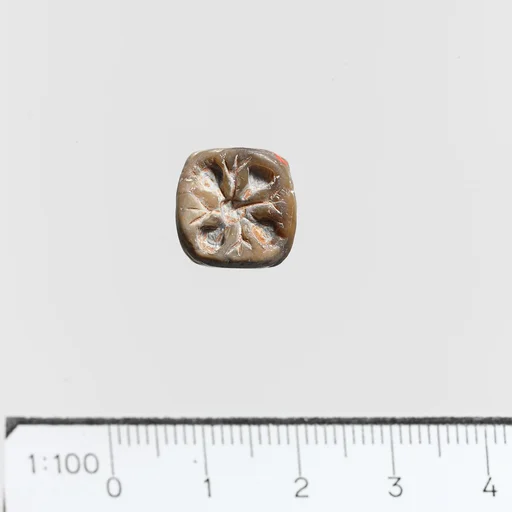 Seal