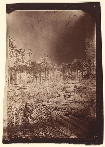[The Wilderness Battlefield]