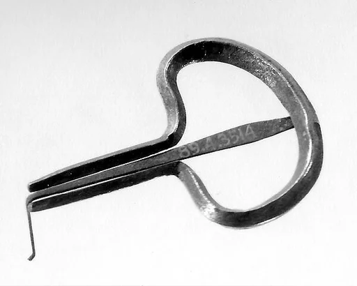Jew's Harp
