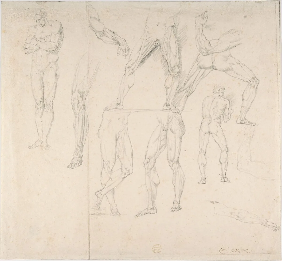 Nude Study — Antonio Canova|Anonymous, Italian, early 19th century