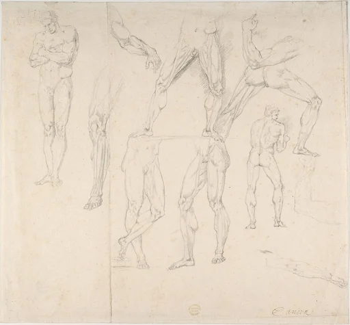 Nude Study
