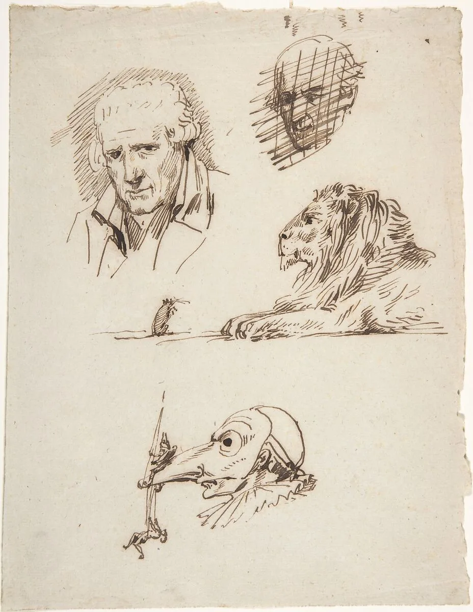 Sheet of Studies: Three Male Heads, a Lion and a Mouse — Pierre Jean David d'Angers