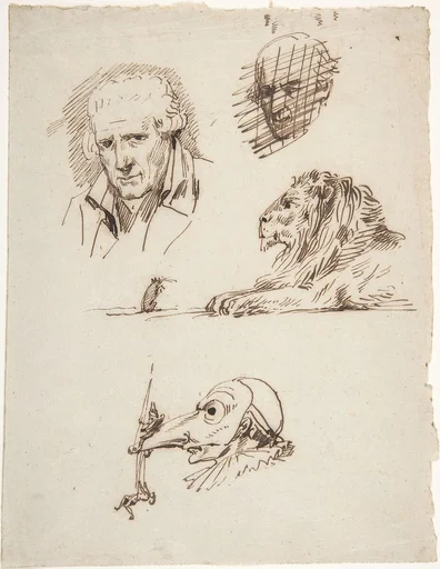 Sheet of Studies: Three Male Heads, a Lion and a Mouse
