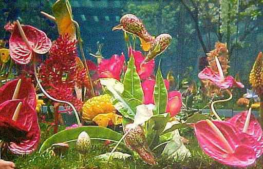 Garden 2
