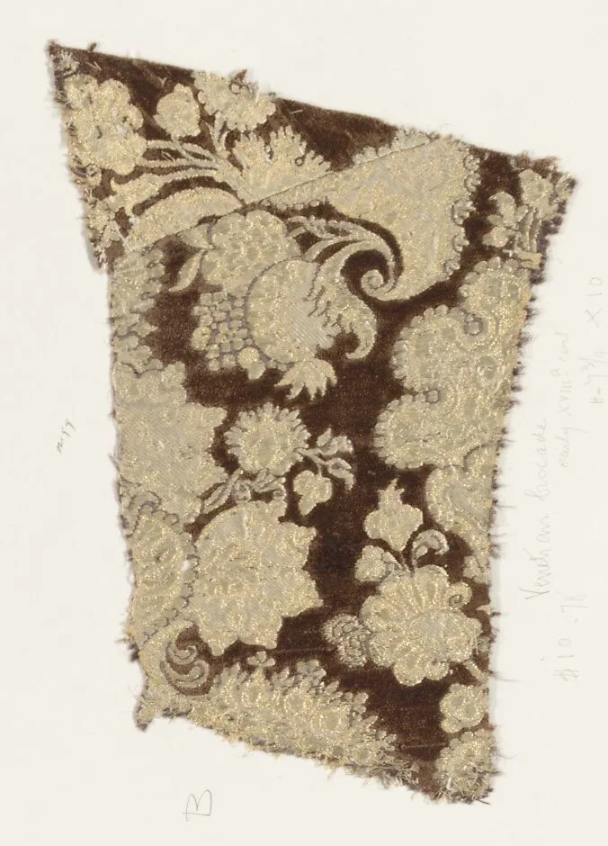 Fragment — Unknown
