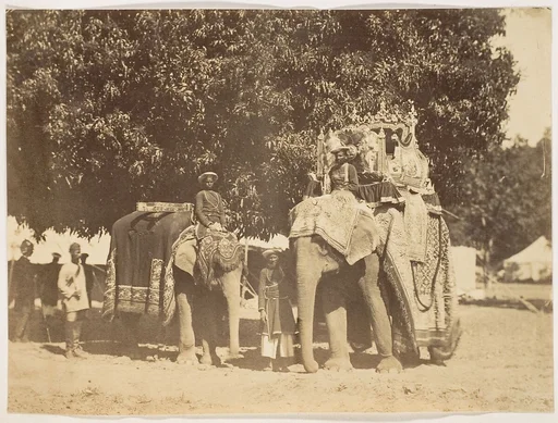 [Governor General's State Elephant and Silver Howdah]