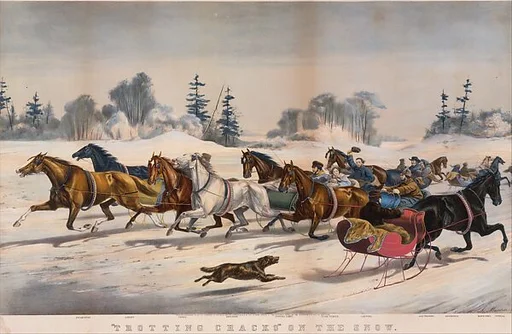 "Trotting Cracks" on the Snow