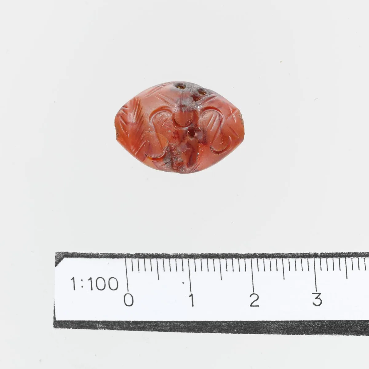 Seal — Unknown