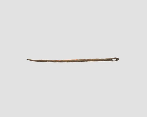 Needle