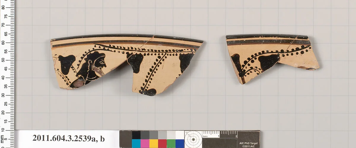 Terracotta rim fragments of a kylix (drinking cup) — Unknown