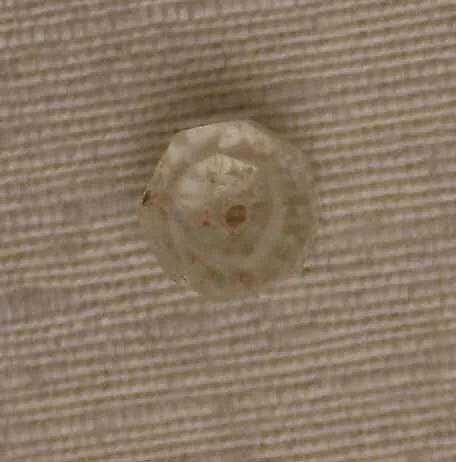 Bead — Unknown