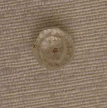 Bead