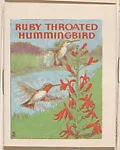 Ruby Throated Hummingbird from Eggers Bird Booklets (W607) — Unknown