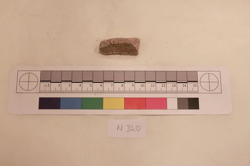 Stucco Fragment