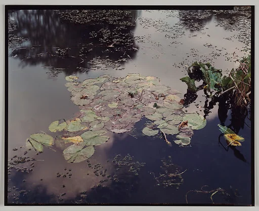 Giverny